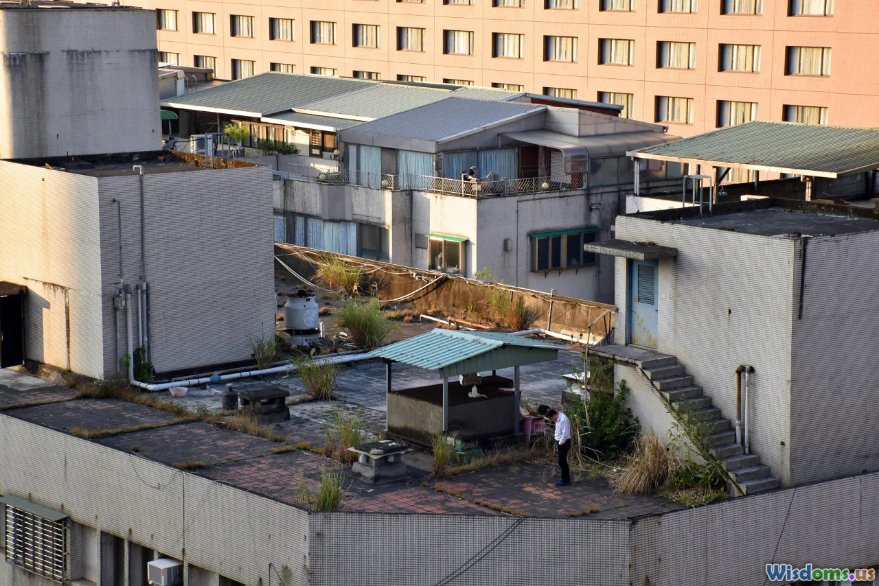 rooftops, parks, building terraces, urban observation