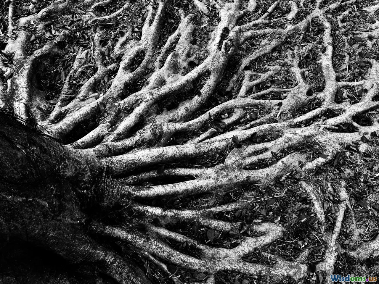 roots, psychology, introspection, causes