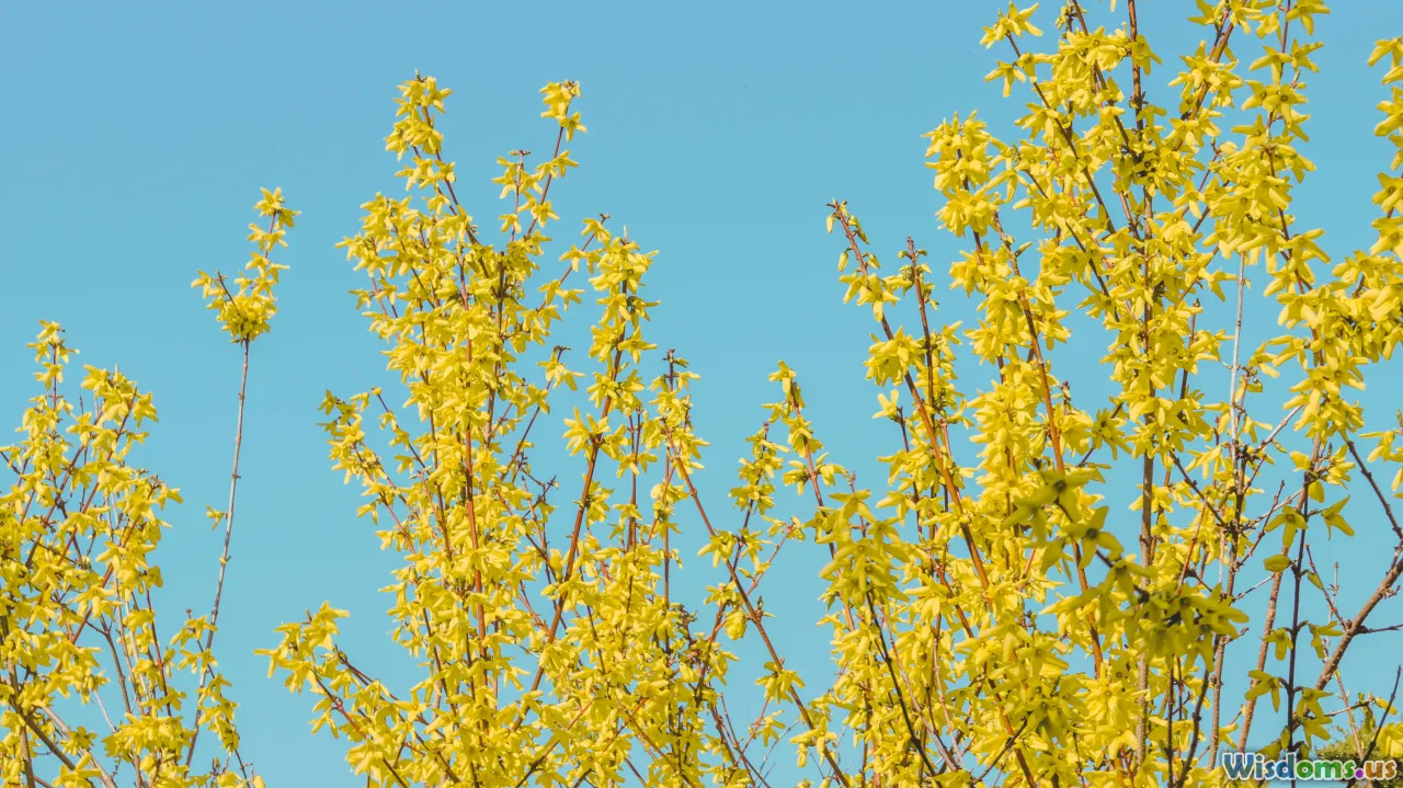 seasons, calendar, pollen, weather app