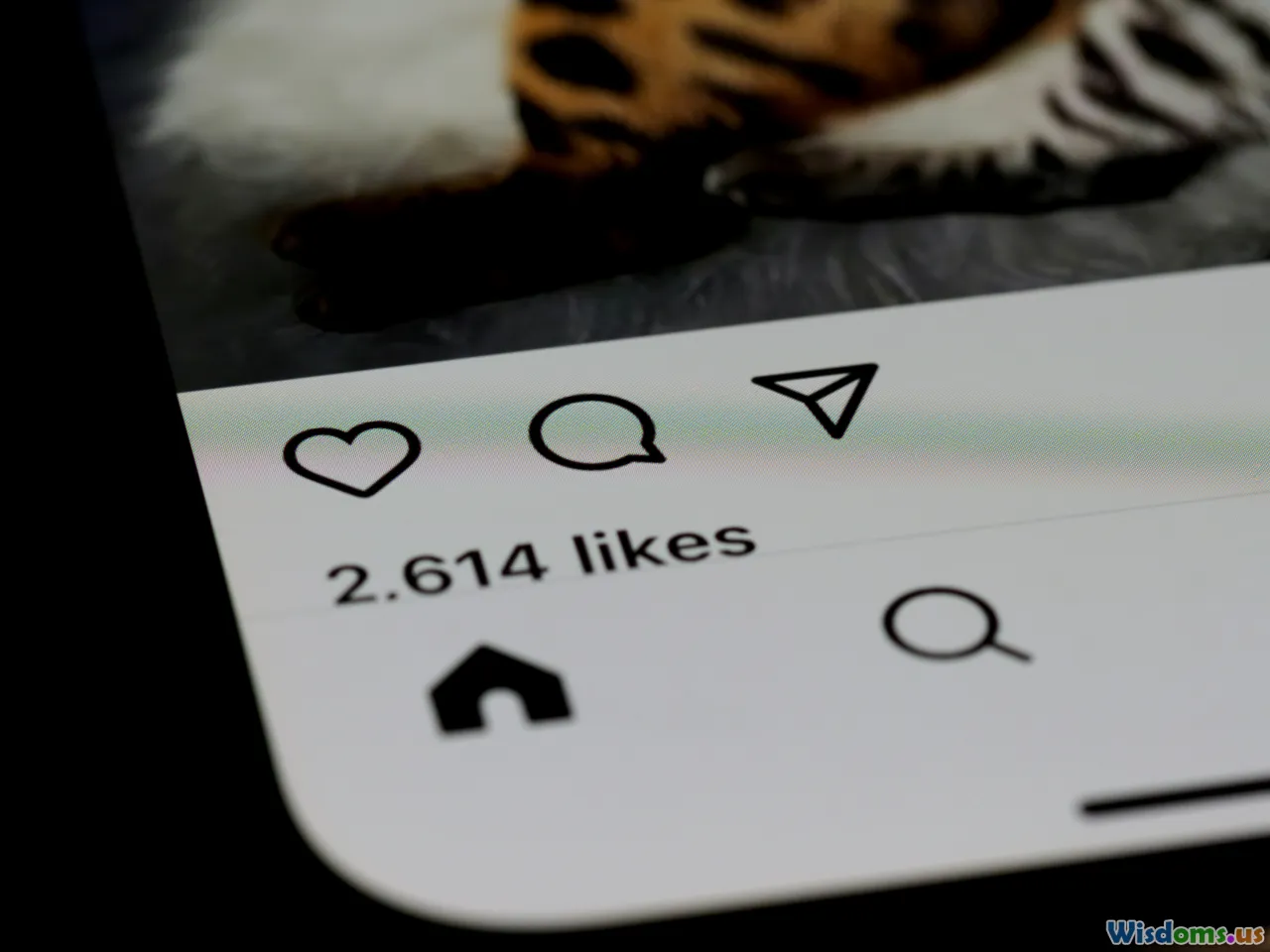 social media, trends, harry styles fans