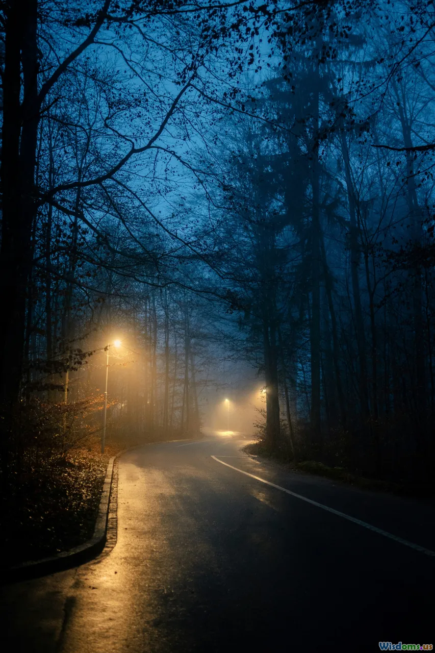 spooky forest road, mental map, dreamy landscape, night drive