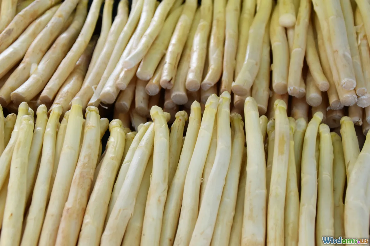 stock, bones, gelatin, ladle