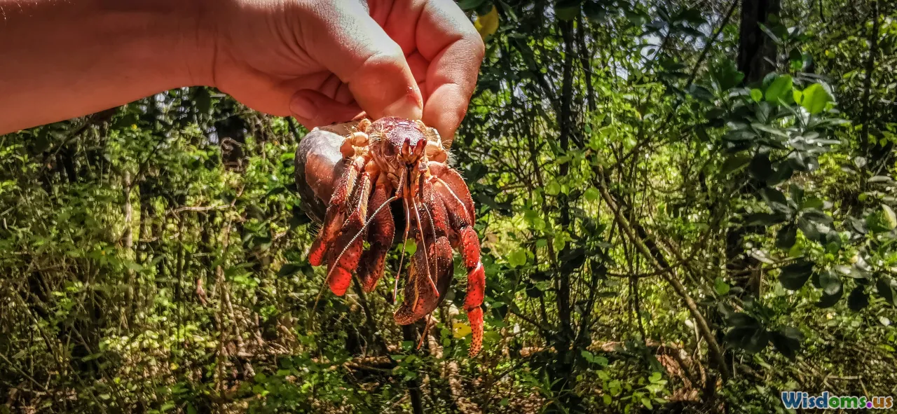 survival food, wilderness, emergency, foraging