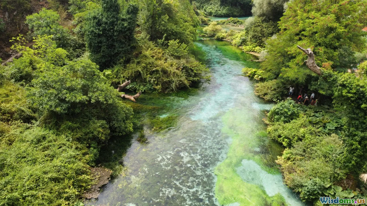 sustainability, green future, river restoration, conservation