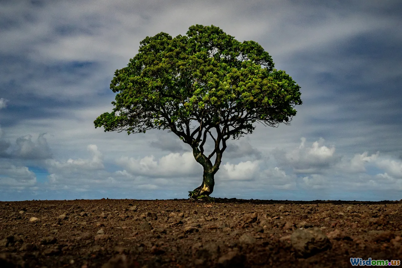 sustainability, overcoming challenges, persistence