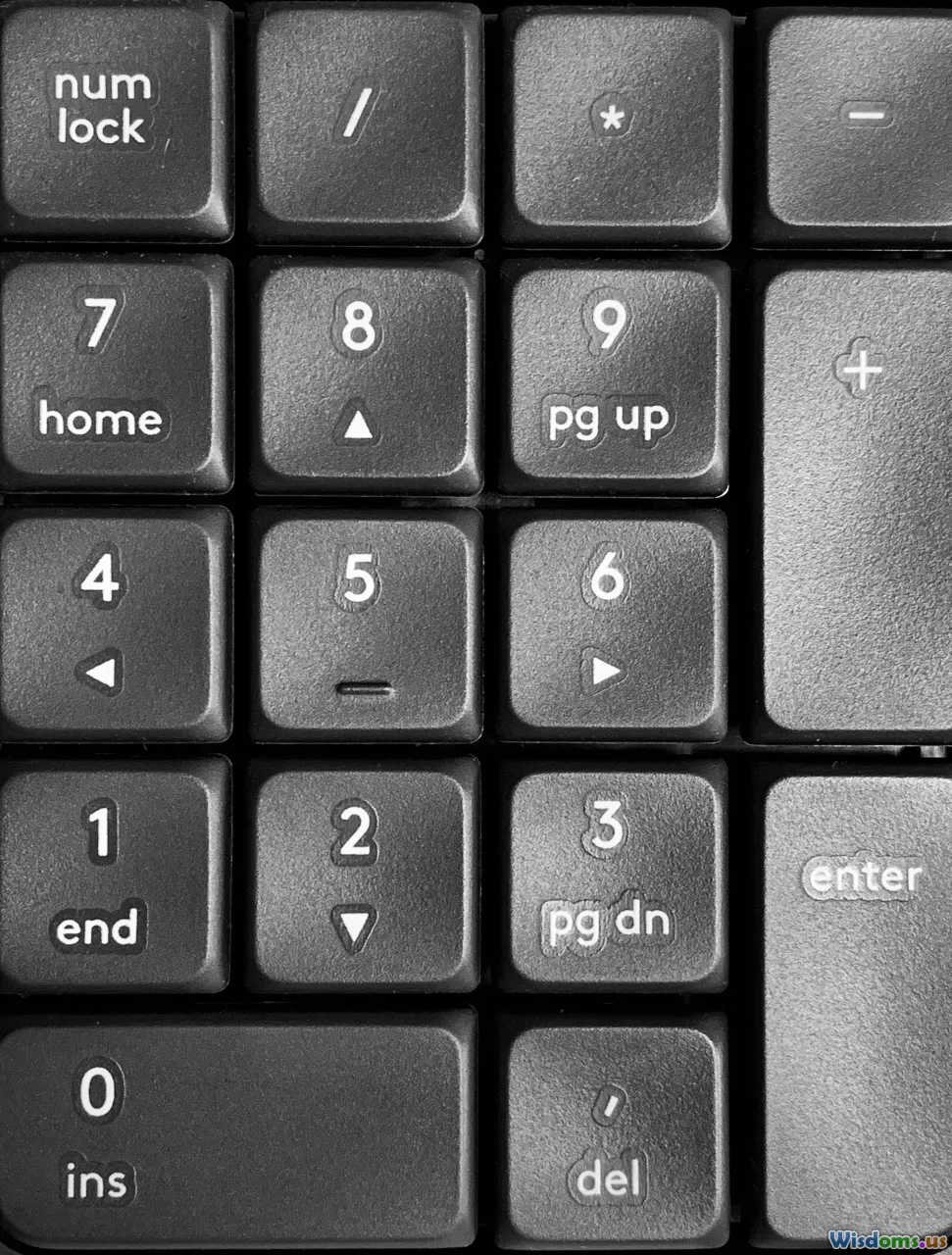 thread, continuity, quill to keyboard, timeless