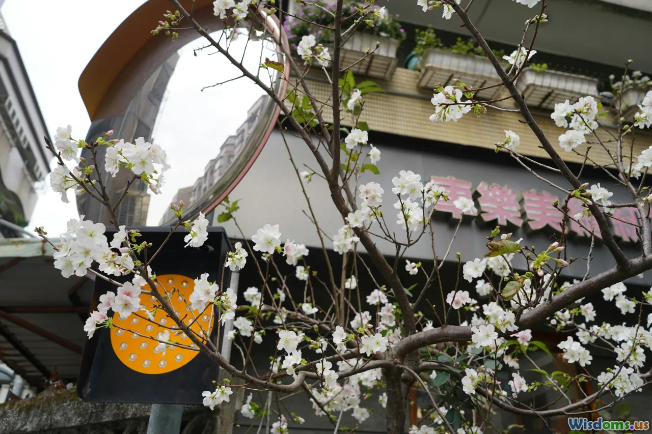 tokyo, japan, family travel, cherry blossoms, robot cafe