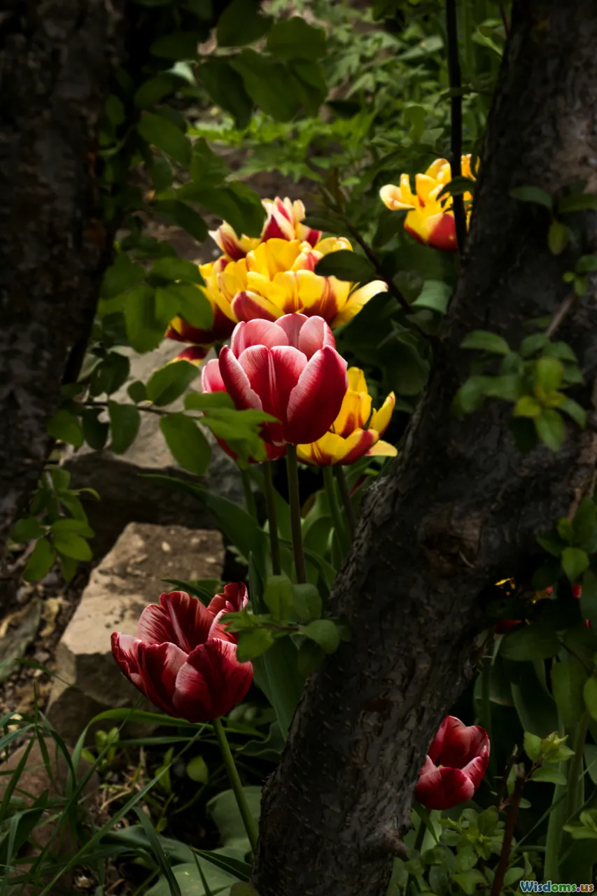tulip, roses, botanical garden, ornamental flowers