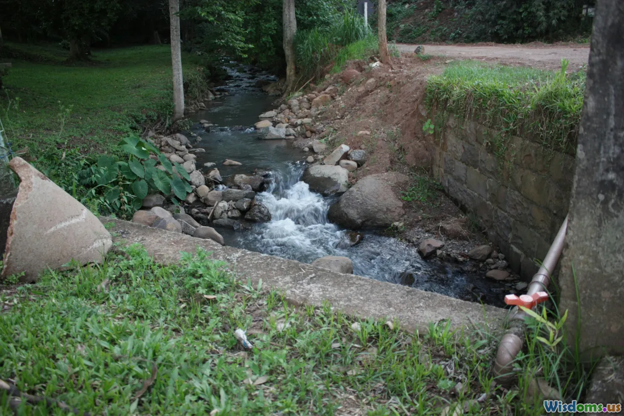 water purification, stream, jungle river, hydration