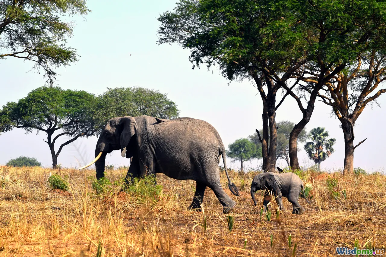 Why Some Wildlife Protection Laws Harm Rather Than Help