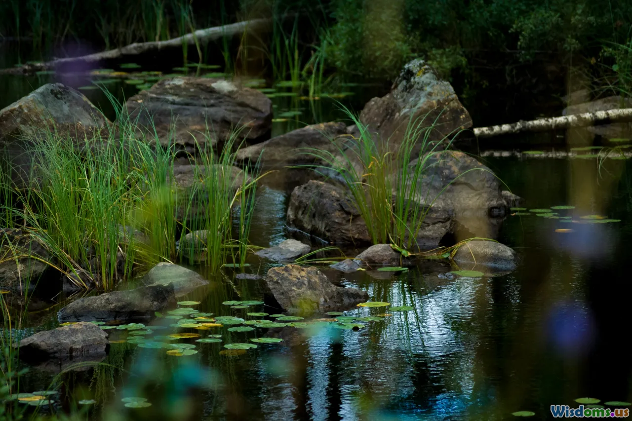 wildlife pond, shallow shelf, liner, rain garden
