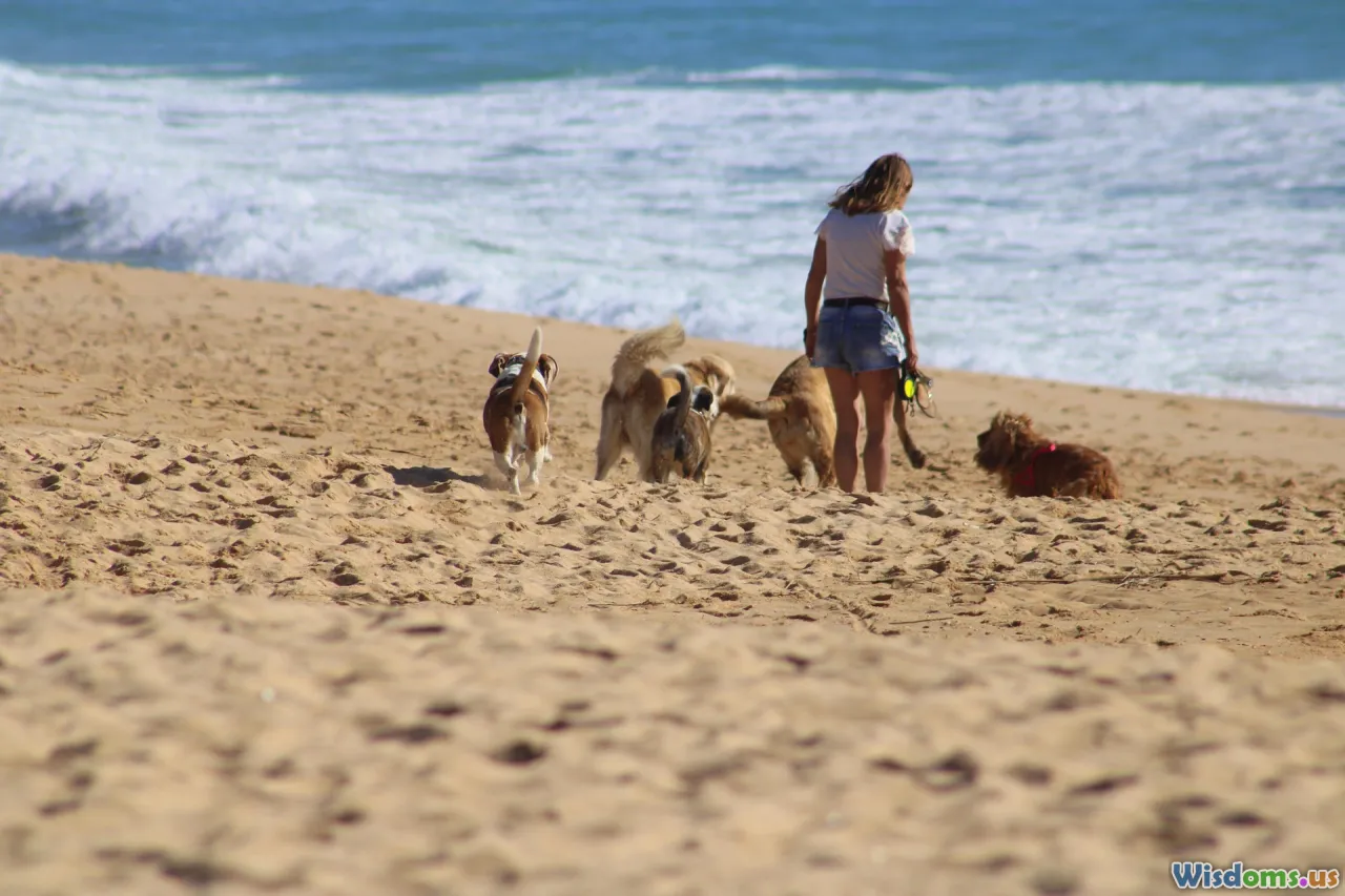 adoption advice, animal shelter, matching pets, first pet tips