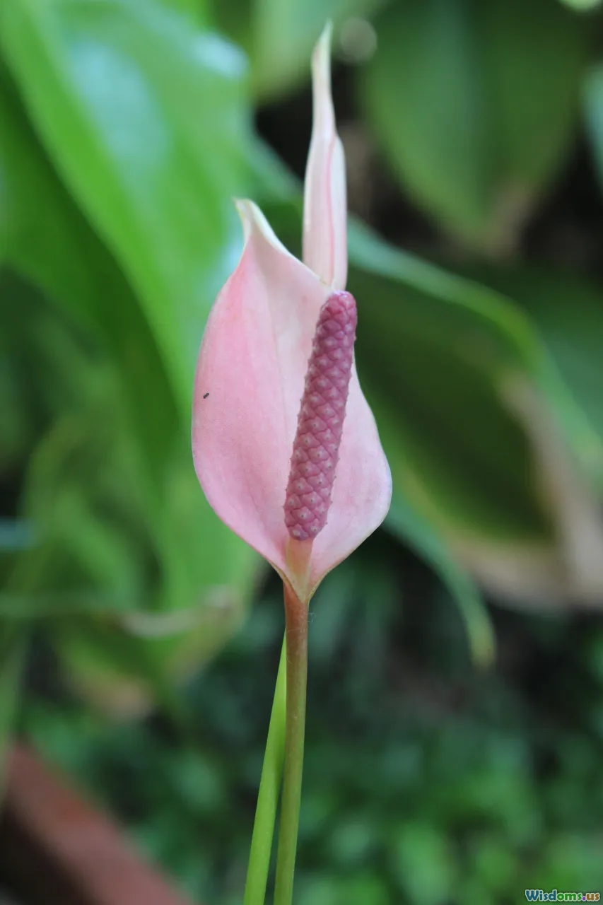 asymmetric design, visual flow, rule of thirds