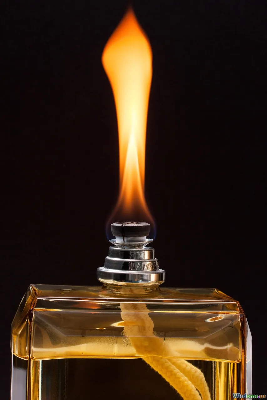 beetle lens, ghia glass, bus ignition