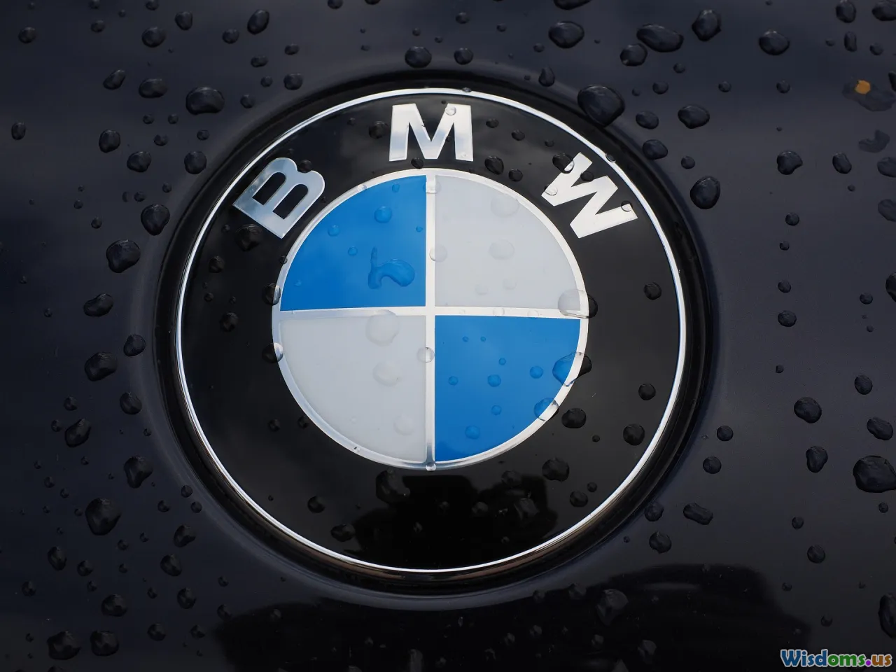 brand identity, logo usage, color schemes