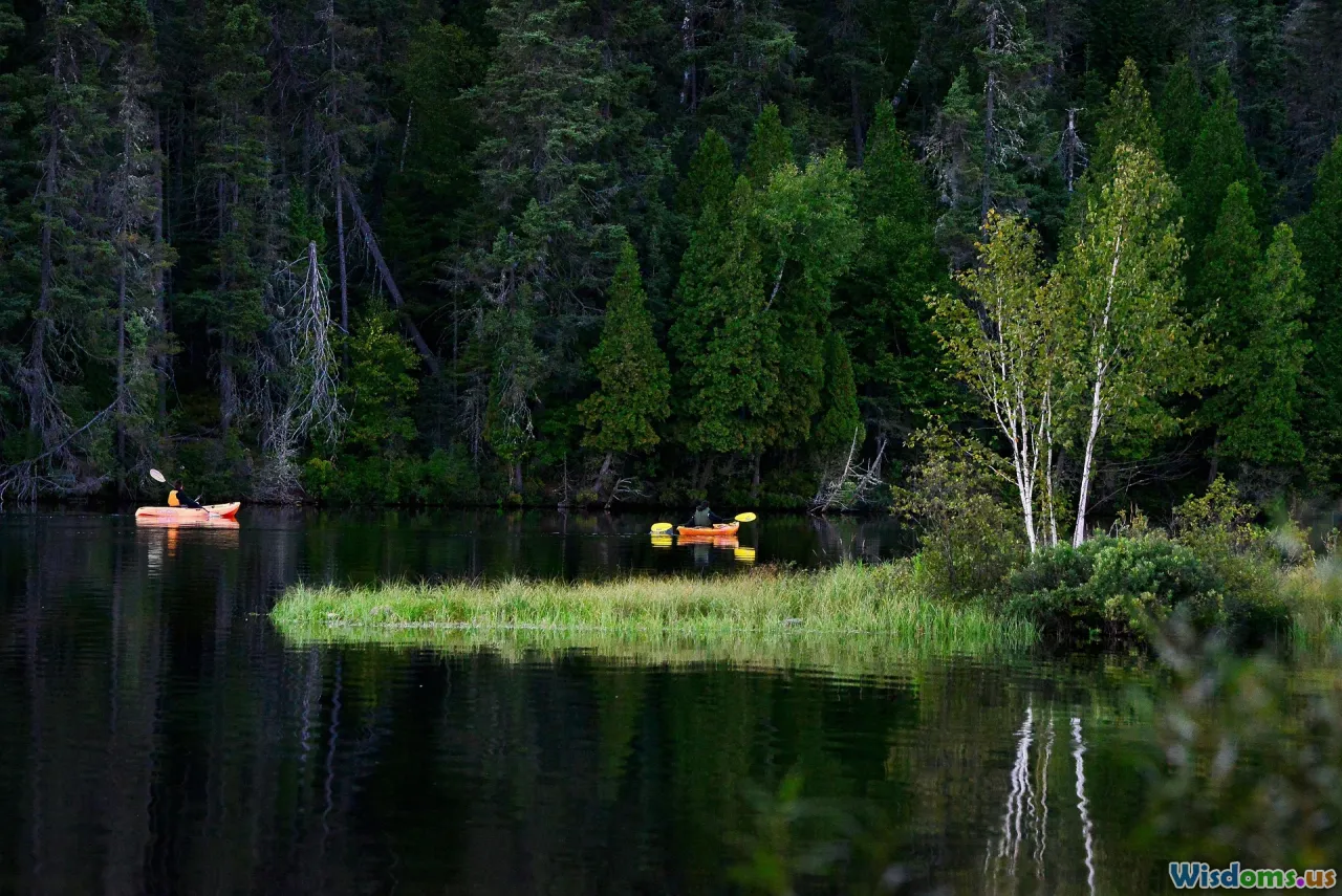 burned forest, ecosystem restoration, project challenges, climate change