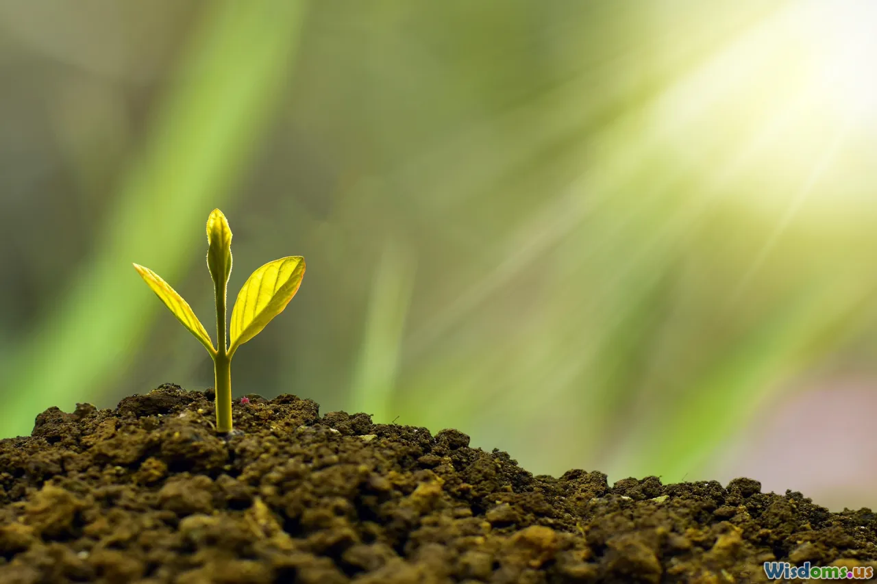 Top Trends Shaping Business Sustainability in 2024