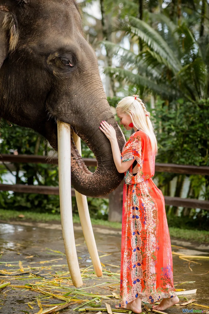 calming, de-escalation, empathy, peaceful talks