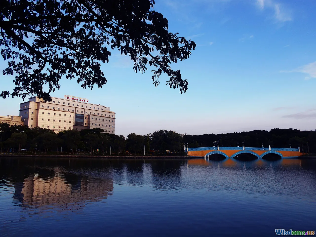 case-studies, education, healthcare, business