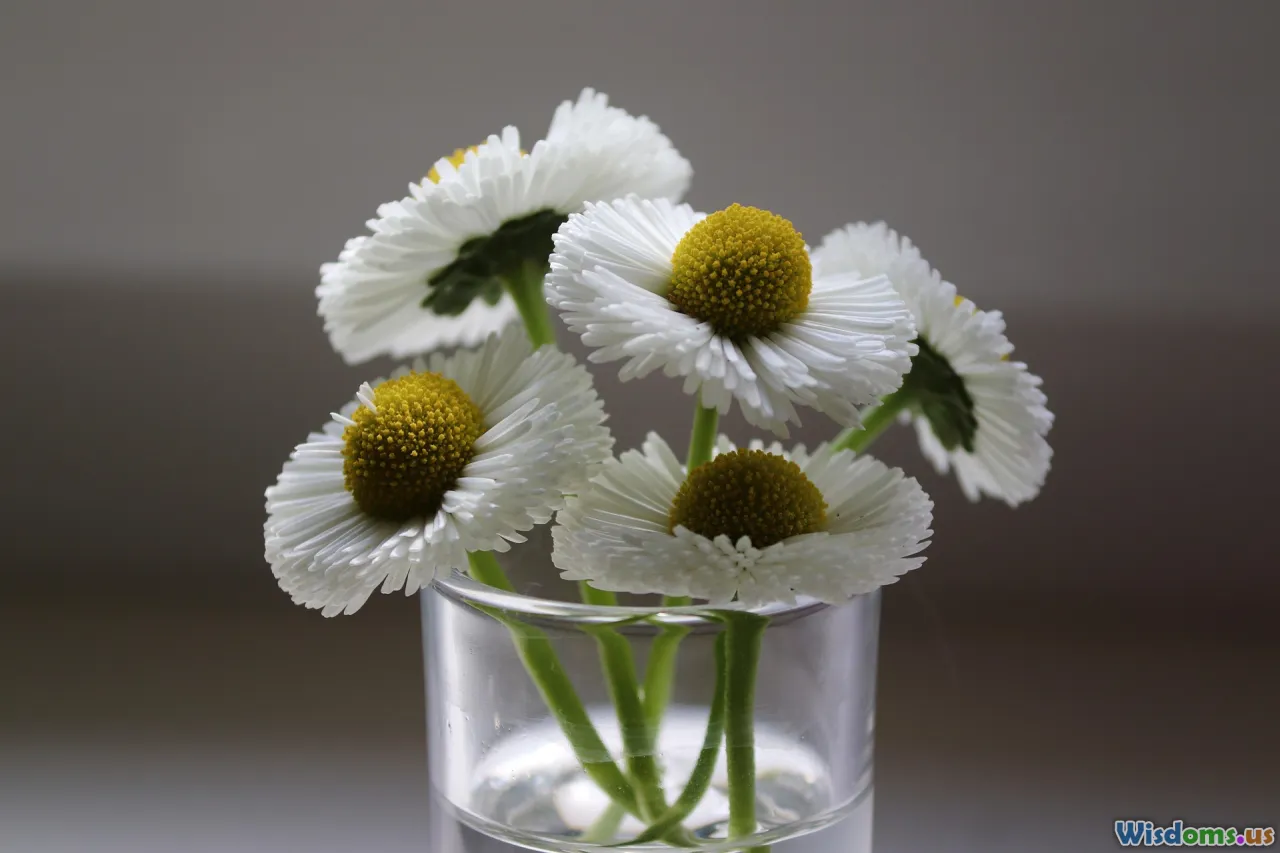 choice, best pick, driving device