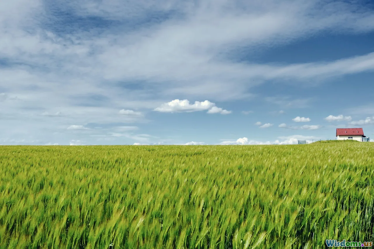 contrast, casting, rivalry, storytelling