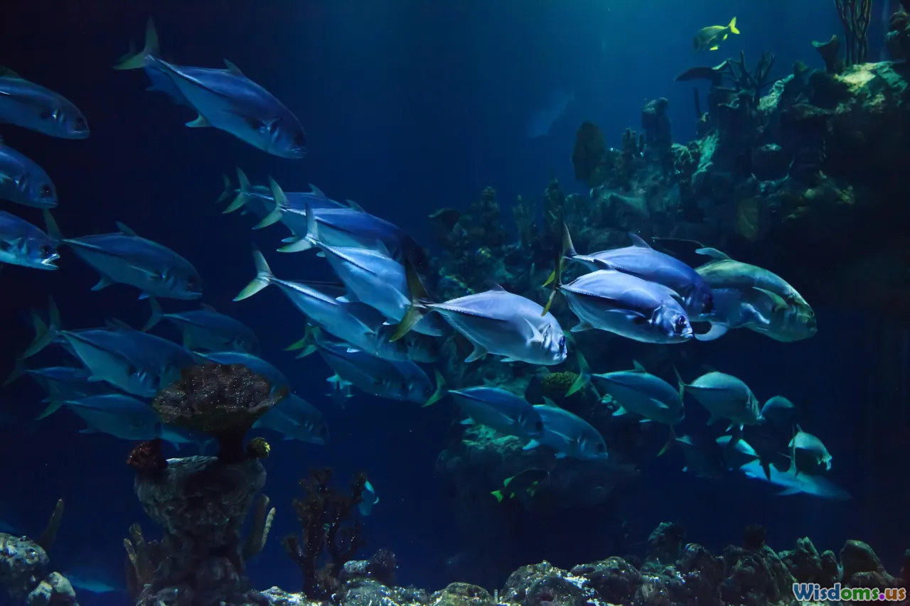 coral reef, deep sea, underwater landscape, marine life, ocean colors