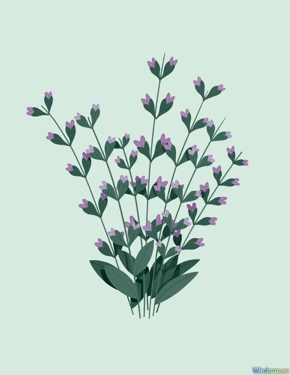 decorative herbs, garden accessories, natural decor