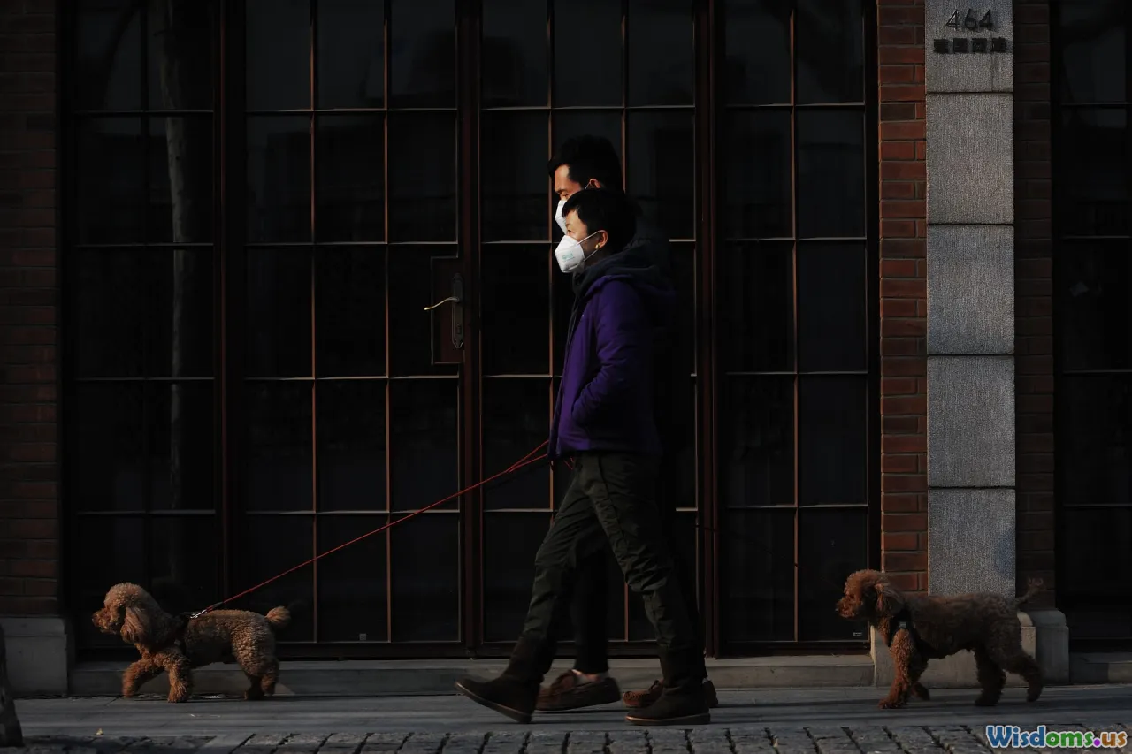 e-bike, city street, safety, urban policy