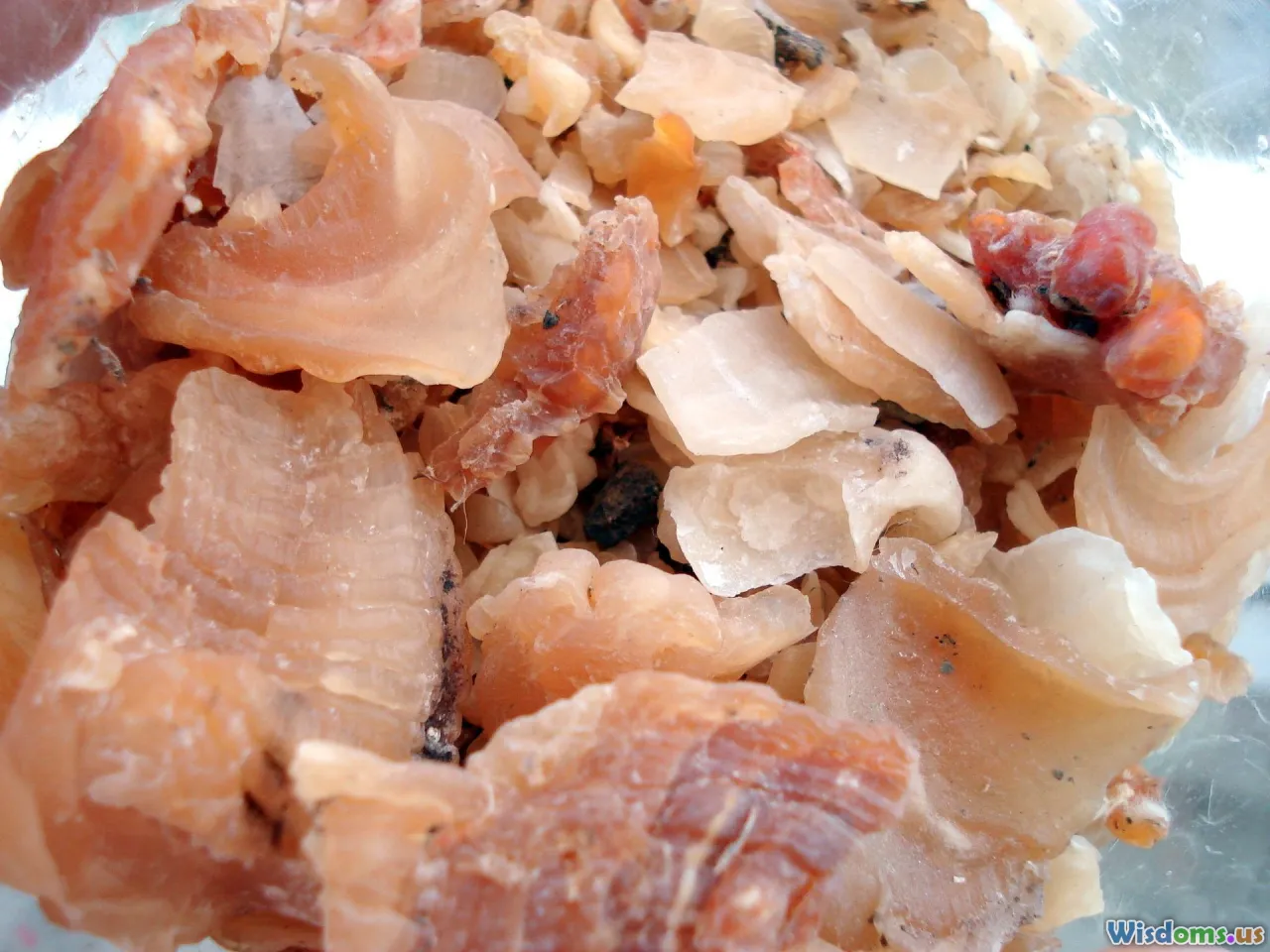 edge slicker, burnisher, gum tragacanth