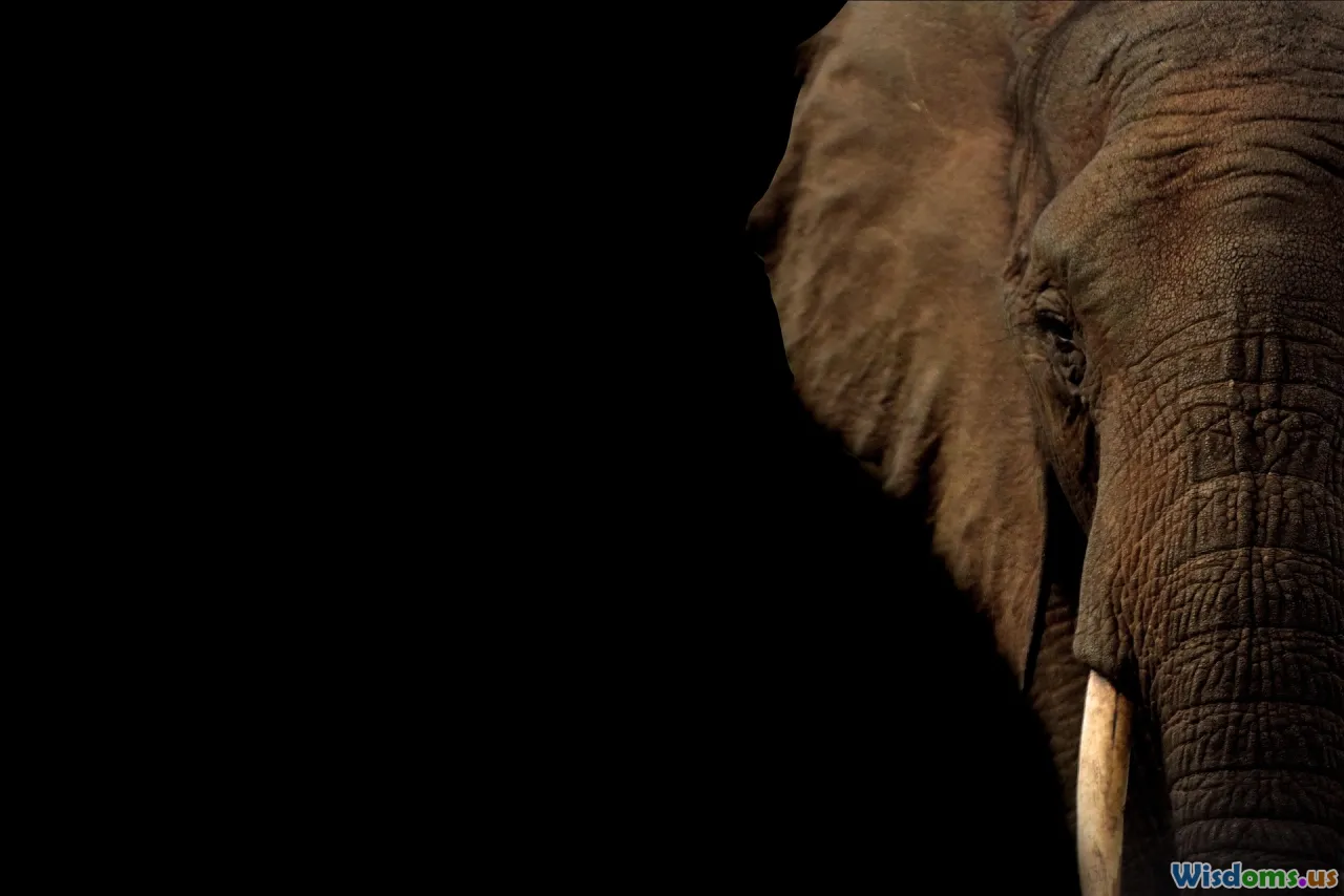 elephant collar, GPS tracking, geofence, wildlife tech