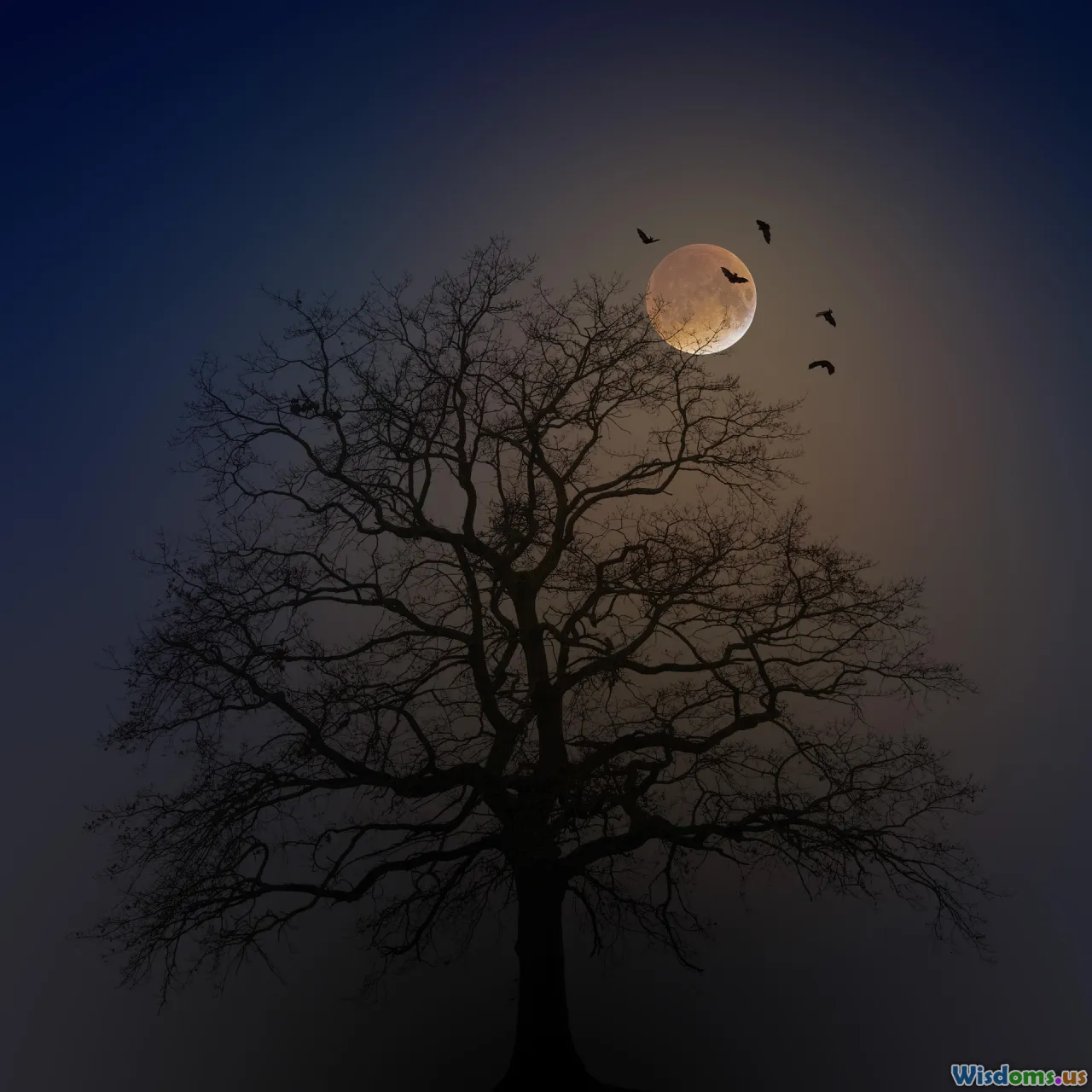 empty road, eerie fog, mysterious lights, highway night