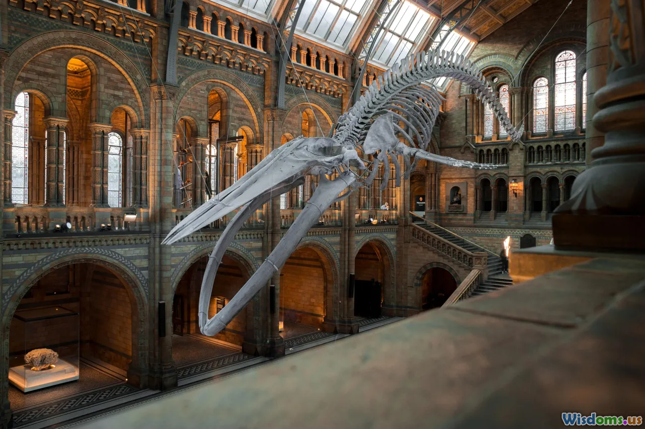 family at museum, interactive museum, children learning, hands-on exhibits