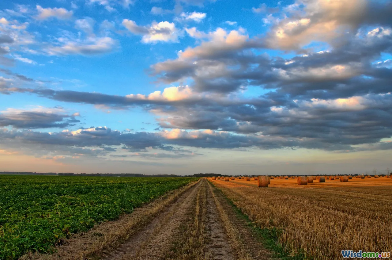 foraging, treats, hay, vegetables