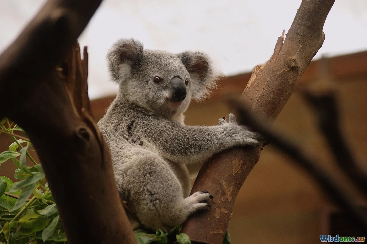 forestry, conservation, habitat restoration, land management