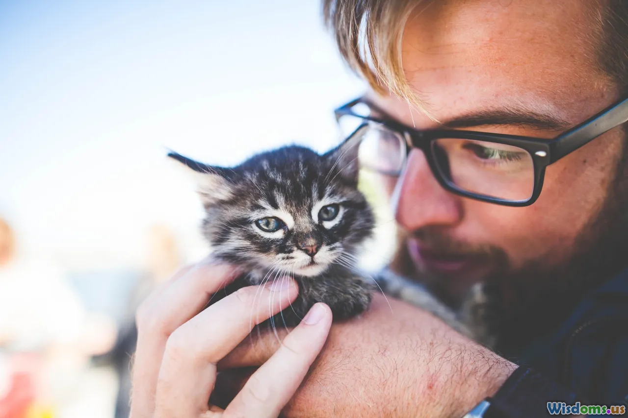 happy kitten, kitten with owner, proper feeding