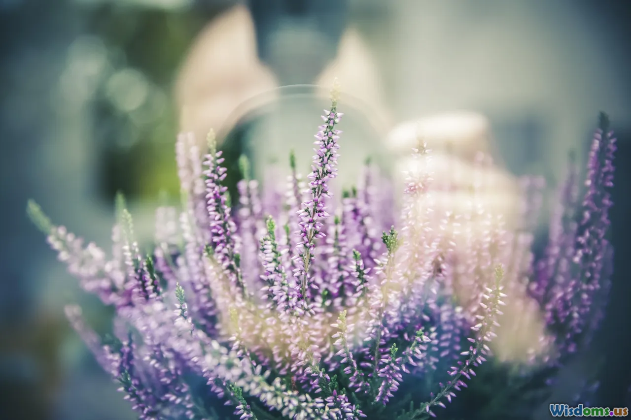 herb garden, notebook, reflection, learning