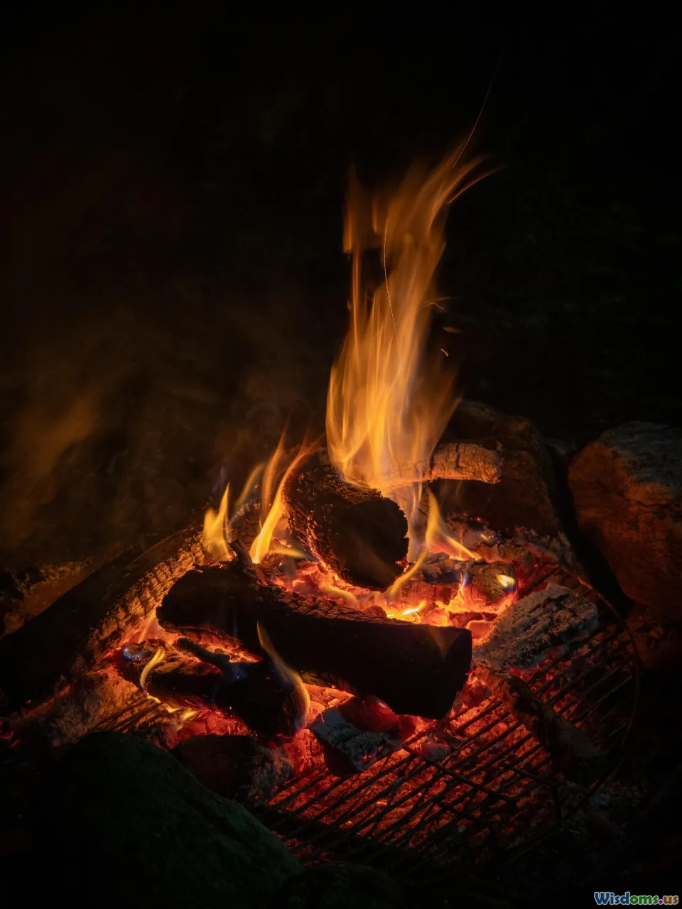 How Hollywood Gets Survival Wrong Five Movie Myths Debunked