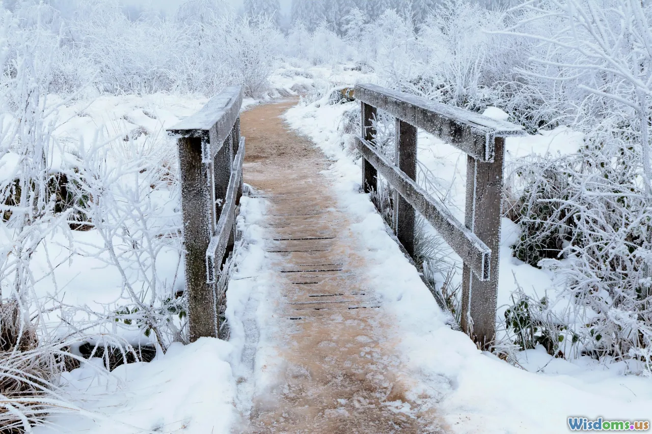 insomnia, sleepwalking, narcolepsy, neural pathways