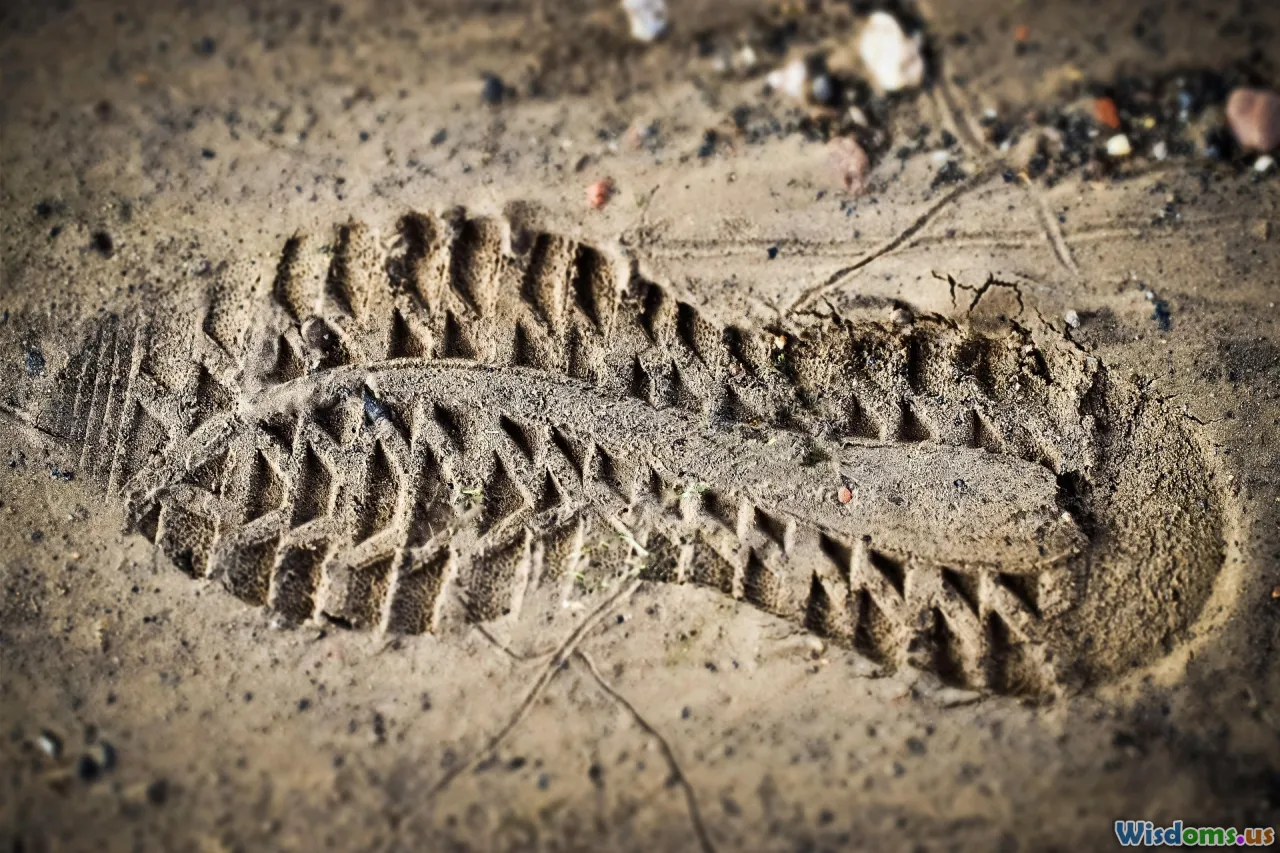 investigators, forensic accounting, data analysis, blockchain trace