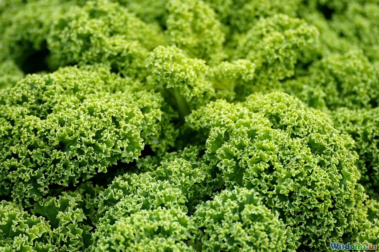 kale, carrot tops, pistachio, creative pesto