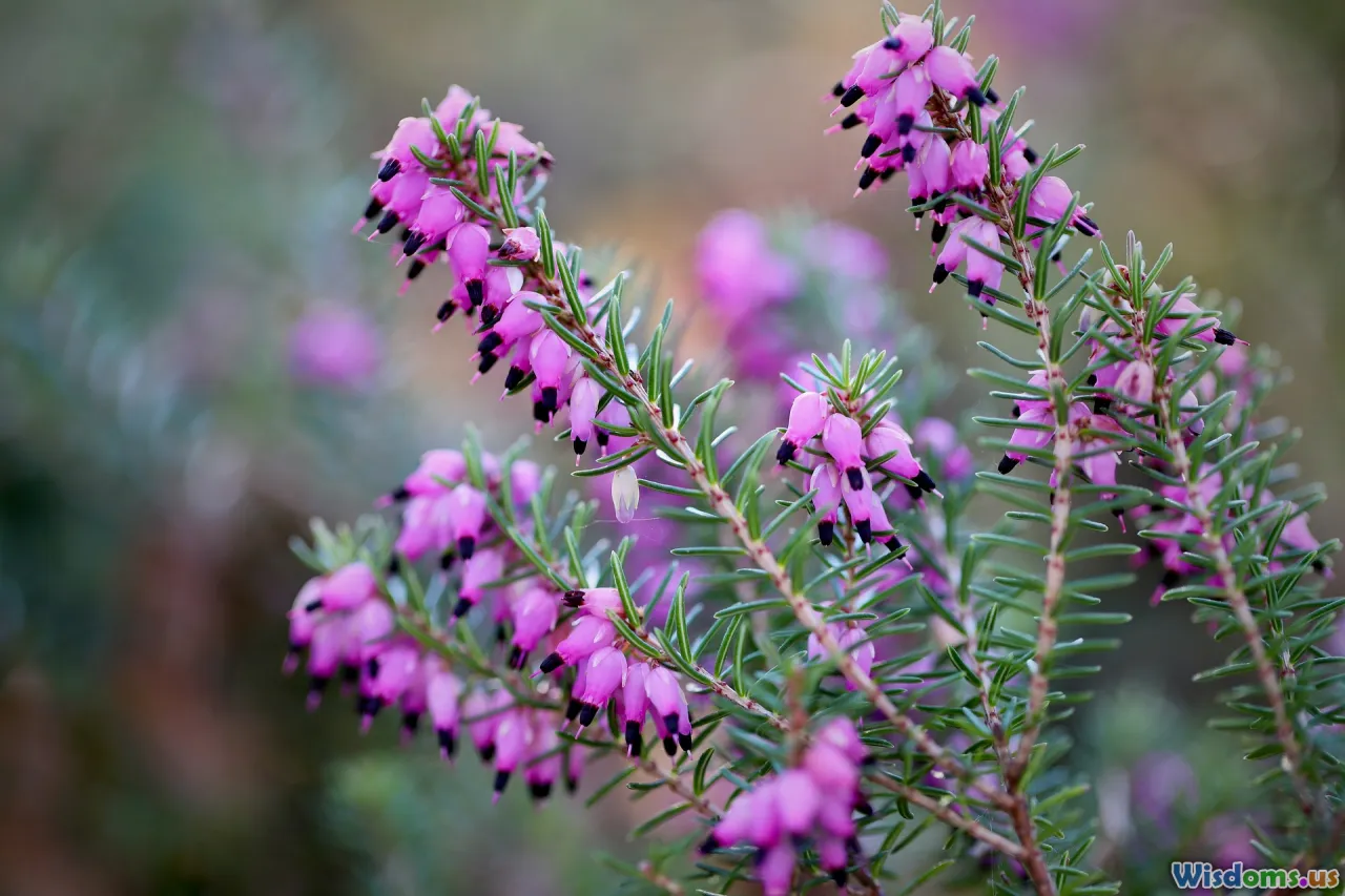 Why KMeans Clustering Struggles With Real World Data Sets