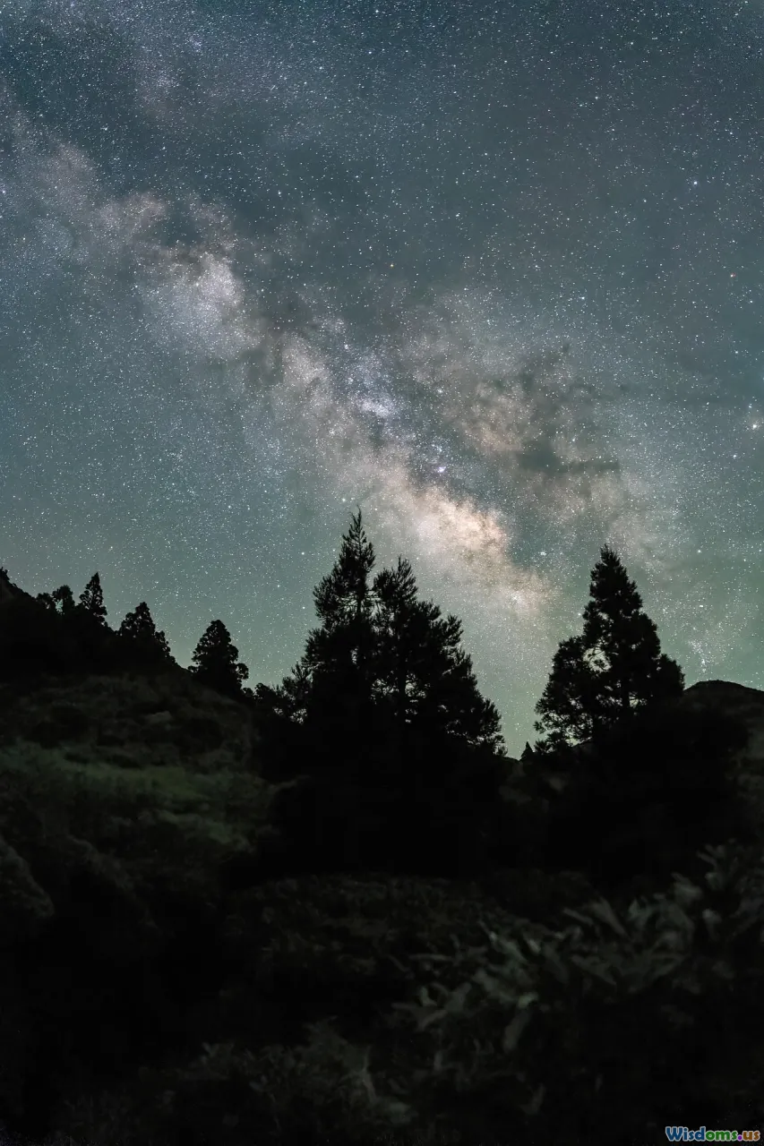 knot sealer, shellac primer, cedar, stain blocking