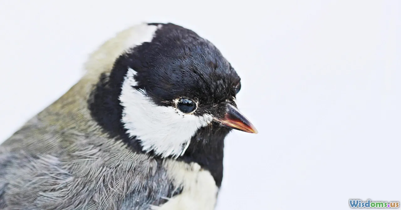 leadership, storytelling, purpose, culture