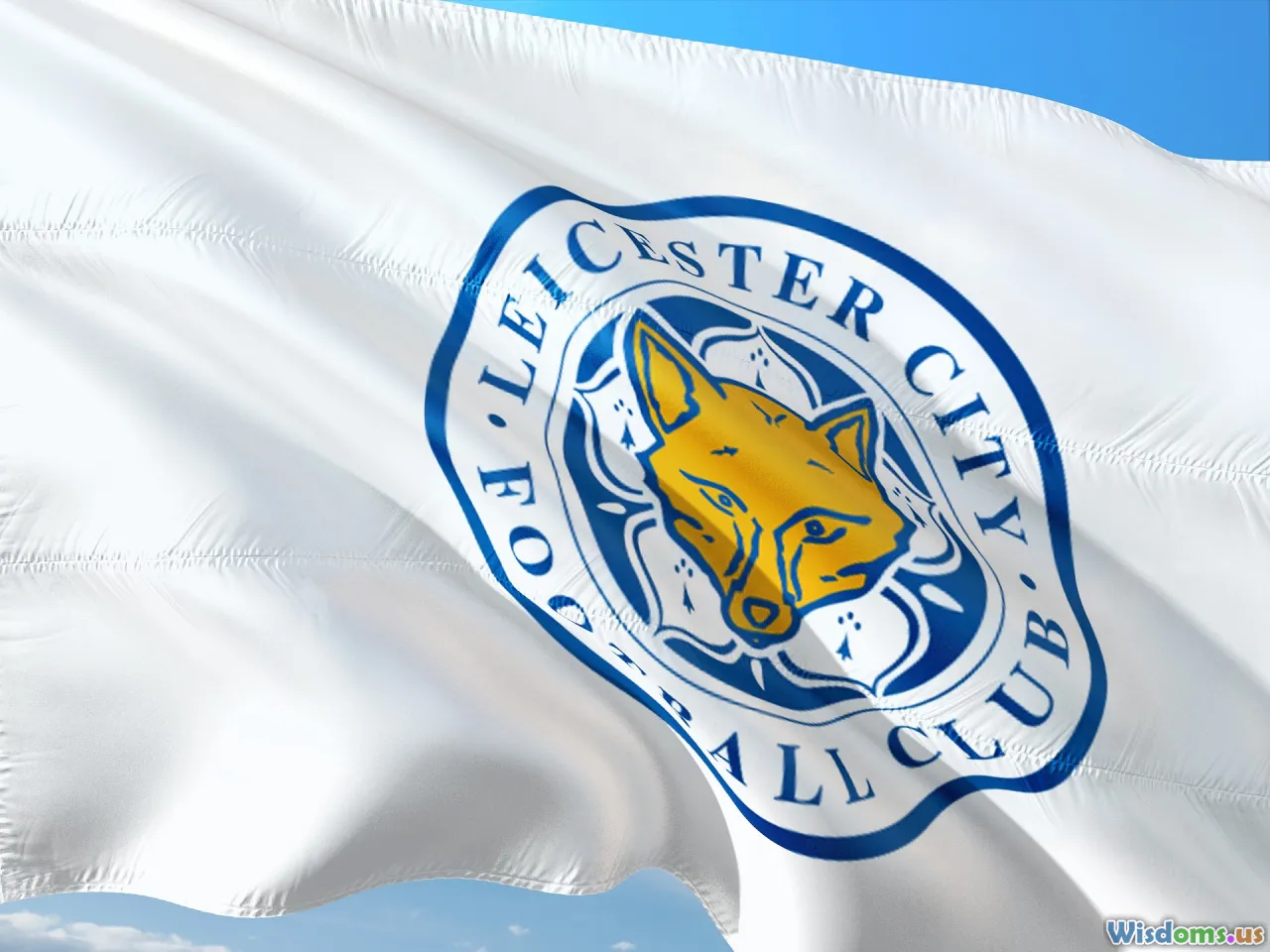 leicester city, football, premier league, champions