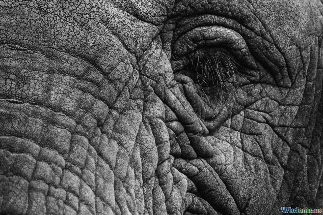 microbiome, skin bacteria, barrier, magnified skin