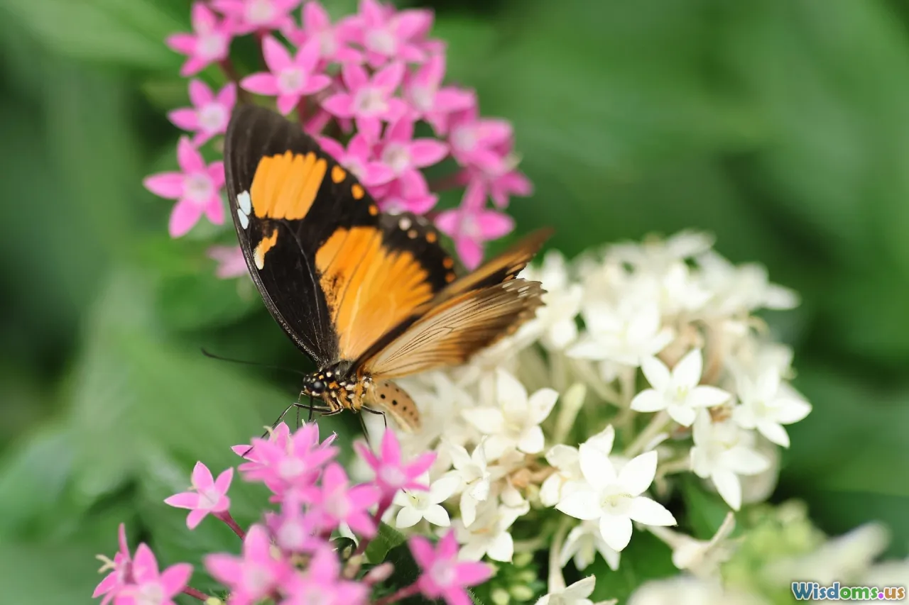 native flowers, pollinators, butterfly, urban habitat