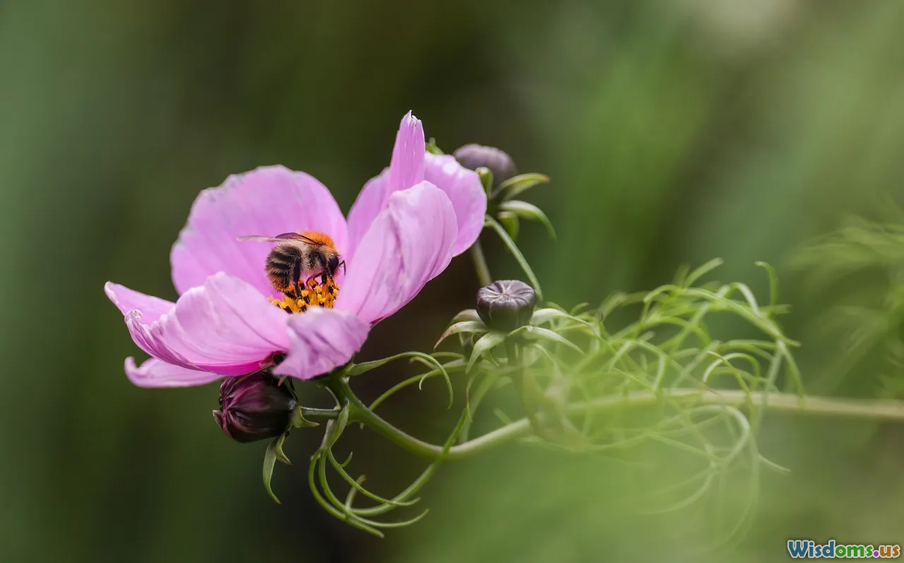 native plants, wetland edge, pollinators, diversity