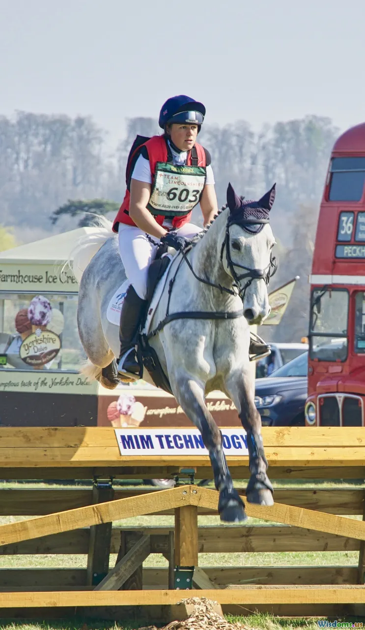 obstacles, tangled rope, hurdles, overcoming challenges