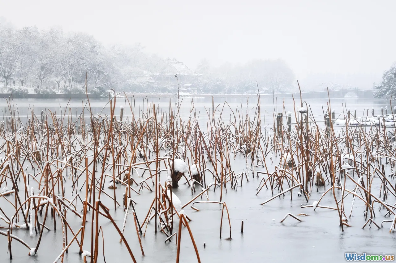 outliers, influential points, residual plots, leverage