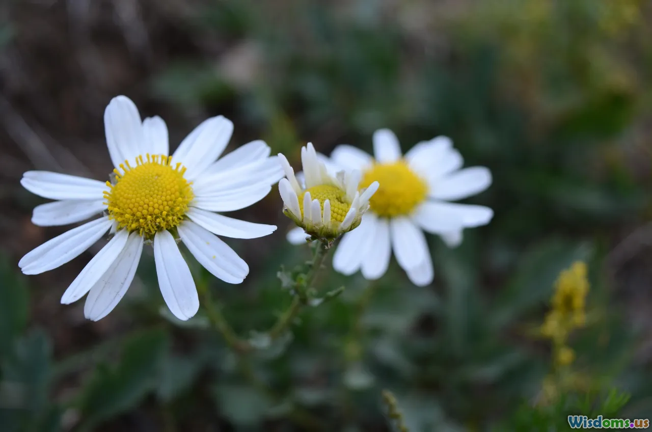 patient journey, before after, stories, results